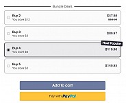 Editing Bundle option using AUTO DS